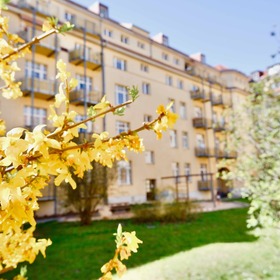 Direkte Elbnähe! Schöne Altbauwohnung mit gepflegtem, grünem Innenhof