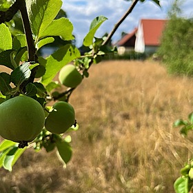 910 m² idyllisch gelegenes Baugrundstück für ein EFH in Ottendorf-Okrilla!