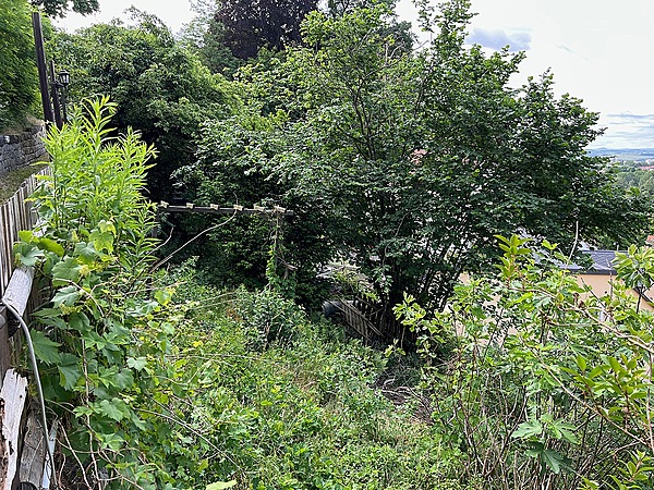 Gartenbereich