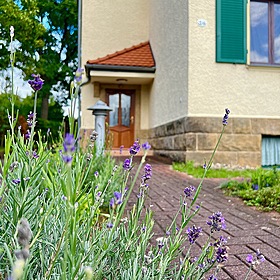 Bezugsfreies Zweifamilienhaus in Dresden-Klotzsche! Großes Grundstück!