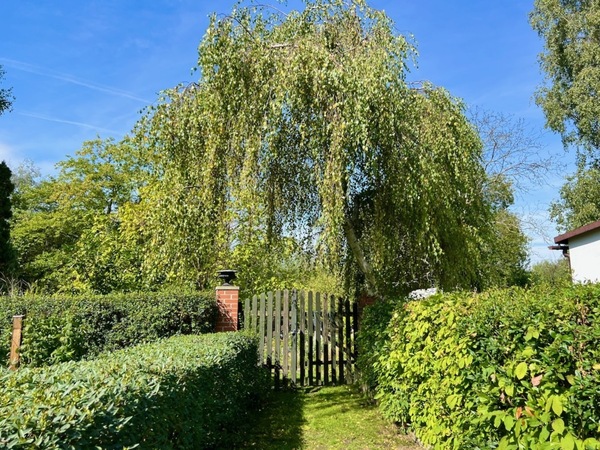 Eingangstor 