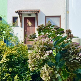 Reihenmittelhaus im schönen Langebrück! Tolle Lage!