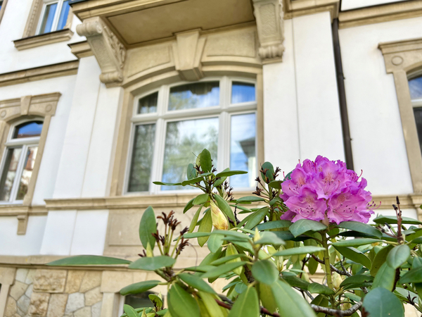 Detail