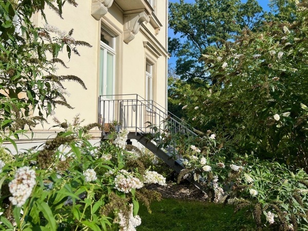 Blick zur Terrasse
