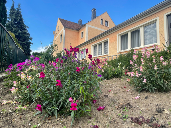 Garten mit Nebengelass