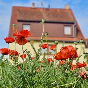 Charmante Doppelhaushälfte mit großem Garten und Garage in ruhiger Lage!