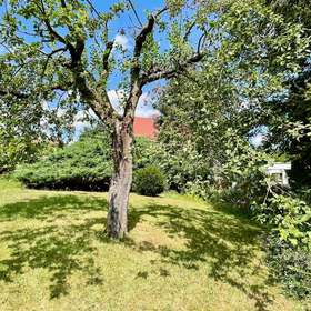 Idyllisches Baugrundstück für ein Einfamilienhaus in Pirna! 980 m²! Bauträgerfrei!
