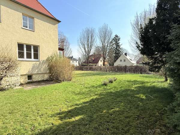 Blick in Garten