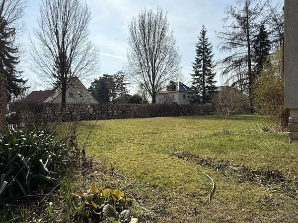 Blick in Garten