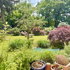 Garten mit Teich