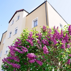 Freie 3-Zimmer-Wohnung mit Tageslichtbad und Carport!